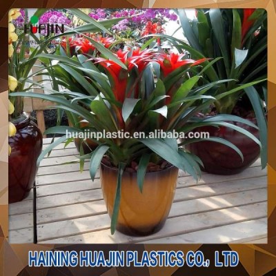 China cheap price outdoor and indoor decorative plant bonsai pots