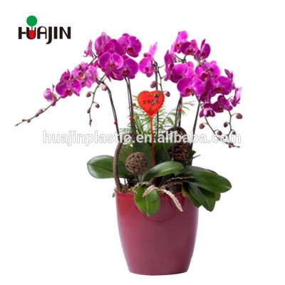 Reliable Quality Planting Net Plastic Bonsai Pot Wholesale Pots