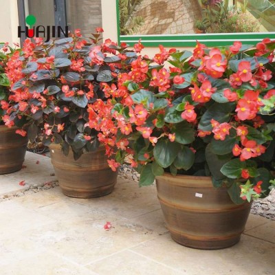 Chinese supplier large size pot bonsai garden planter plastic round plant pot